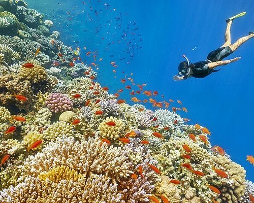 رياضة الغوص في دهب - الاماكن السياحية في دهب