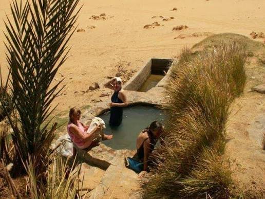 الواحات البحرية السياحة العلاجية في مصر