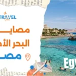 مصايف البحر الأحمر في مصر وأفضل المدن والشواطئ 2026